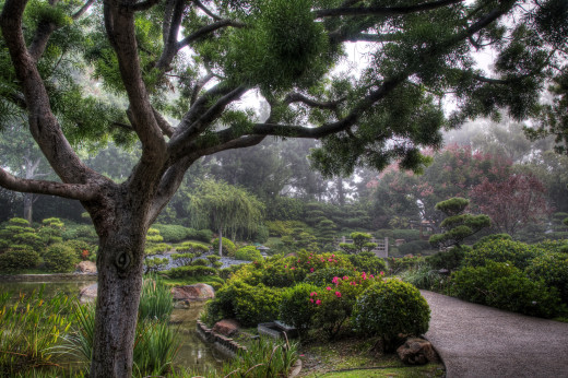 652966 (a): :2900x1925